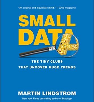 Martin Lindstrom Small Data marketing book report POSMarketing